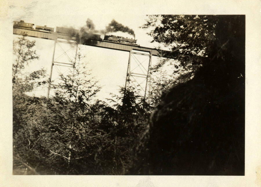 An unidentified freight train crossing bridge 38 of the Camas Prairie Railroad. The picture is taken from the ground, from a great distance away, allowing for the scaffolding and infrastructure of the bridge to be seen.