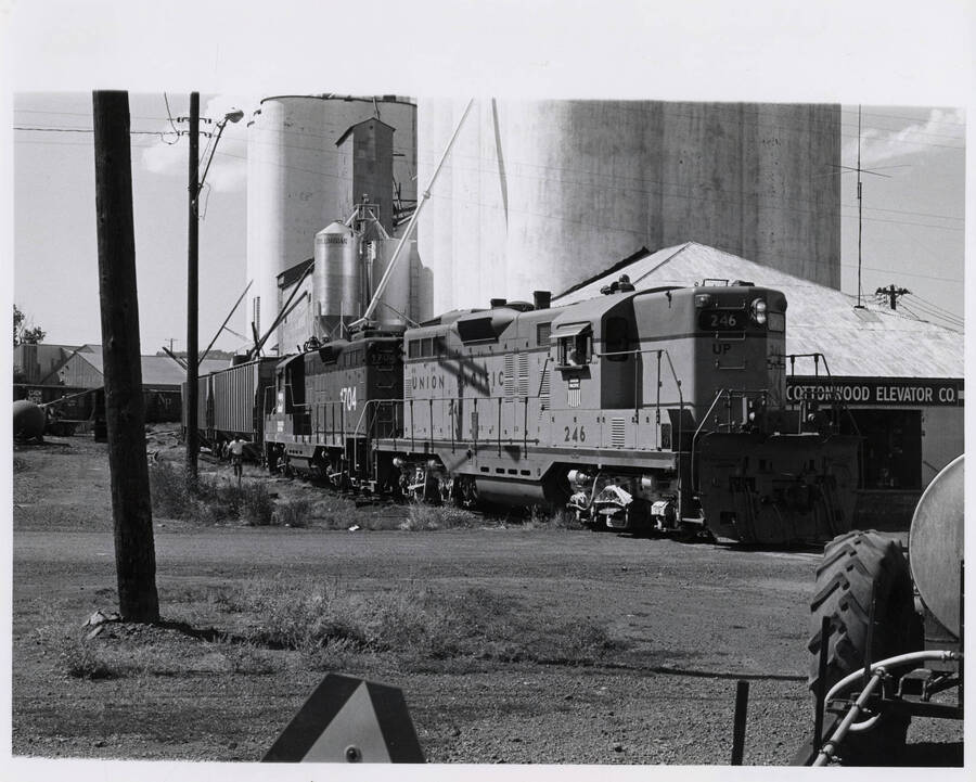 A photograph of Union Pacific Train 858 switching at Cottonwood Elevator Co.