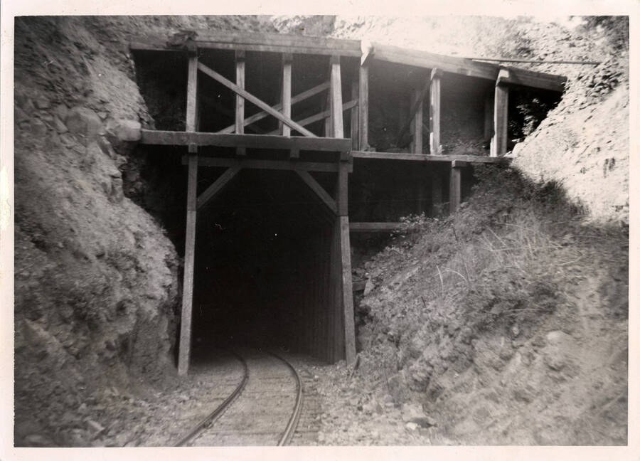 A photograph of Tunnel No. 7 on the Lapwai Branch of the Camas Prairie Railroad, taken from the East Grangeville entrance of the tunnel.