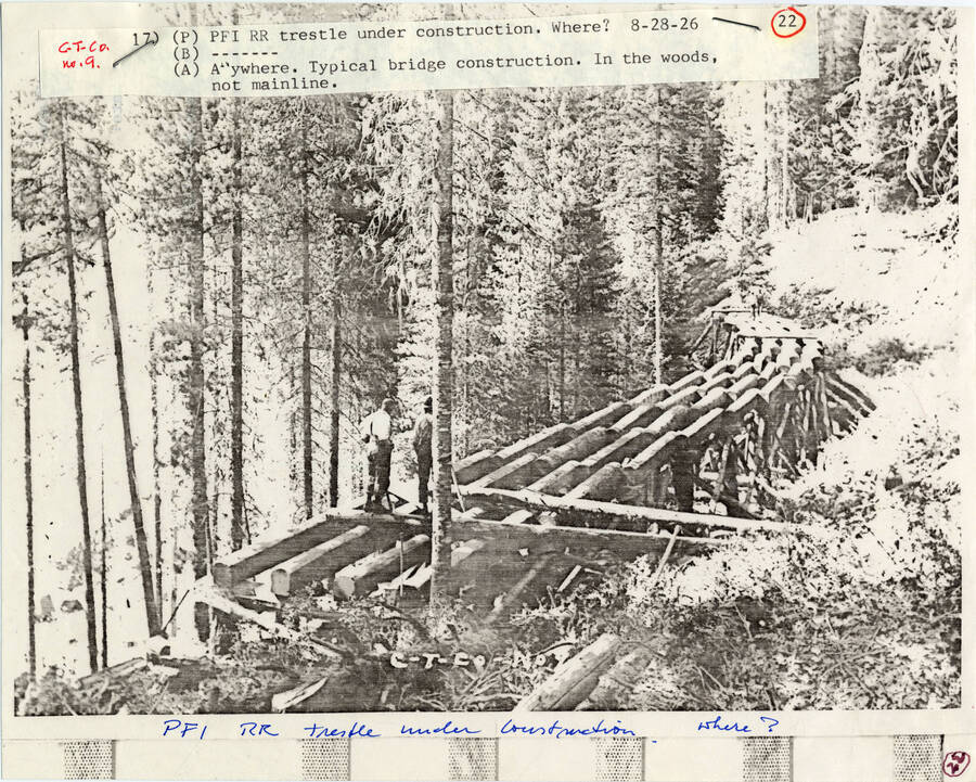 A paper copy of a photograph of a trestle bridge under construction in the woods. Due to the surrounding foliage, it's likely that the bridge is not being constructed on a mainline railroad. Location unknown, somewhere in Idaho.