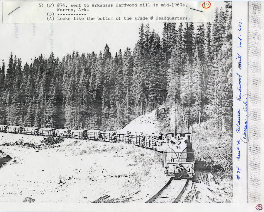 A paper copy of a photograph of Train Engine #74 carrying a large lumber load in Headquarters, Idaho.