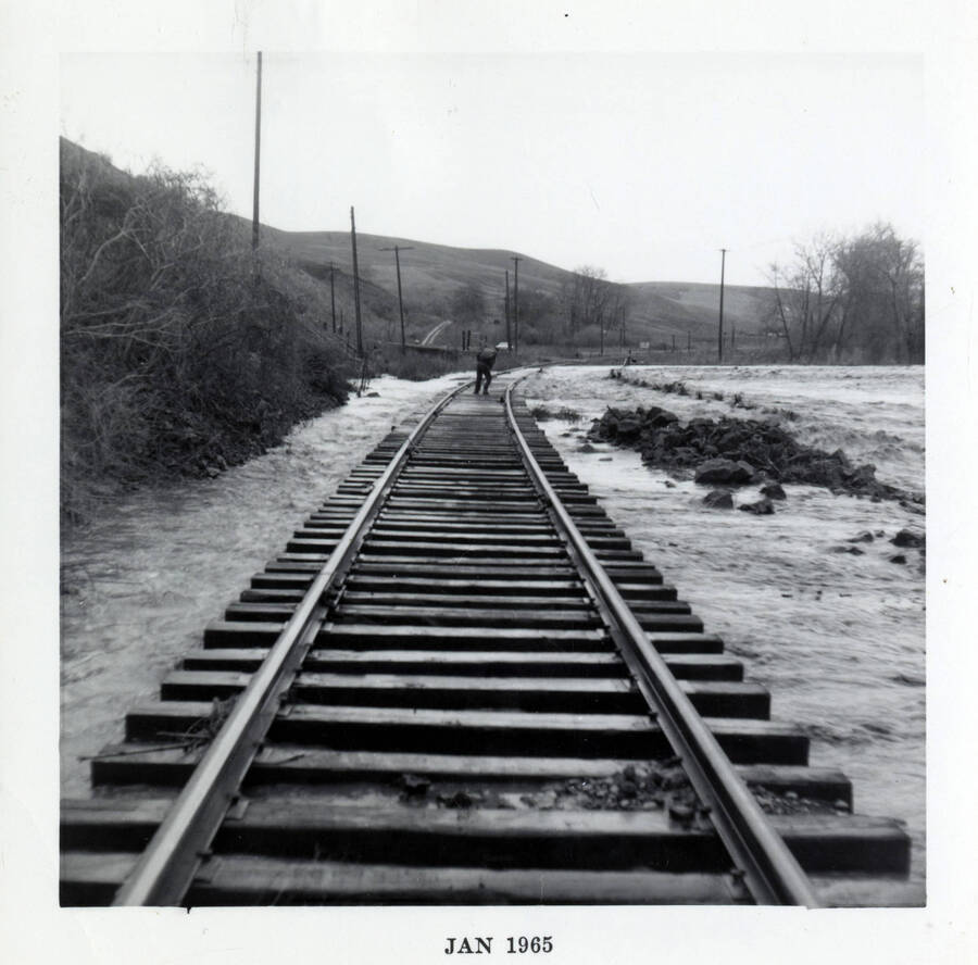 A photograph of track on the the Camas Prairie Railroad, facing it head-on. There is a person in the distance standing on the tracks.
