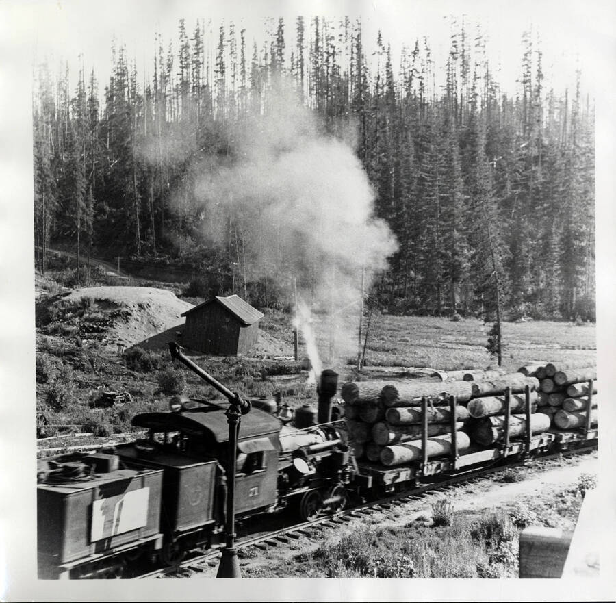 A photograph of a freight train carrying logs across the countryside. In the background there is a wooden shed in front of a coniferous forest.