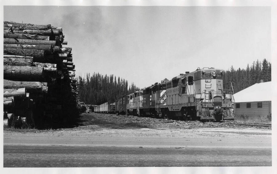 A trio of GPg's from the BN and UP ready for the return trip of the Headquarters Logger at Headquarters Idaho. All three locomotives are required for the steep grade between Headquarters and Summit.