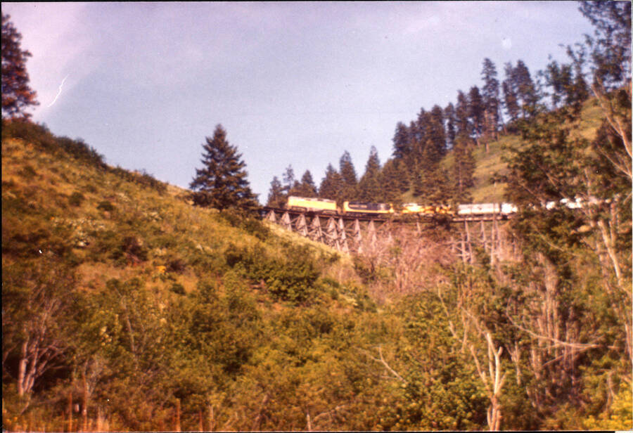 A photograph of a freight train moving across a bridge in mountainous terrain. The foreground features a steep grassy hill with trees that partially cover the train.