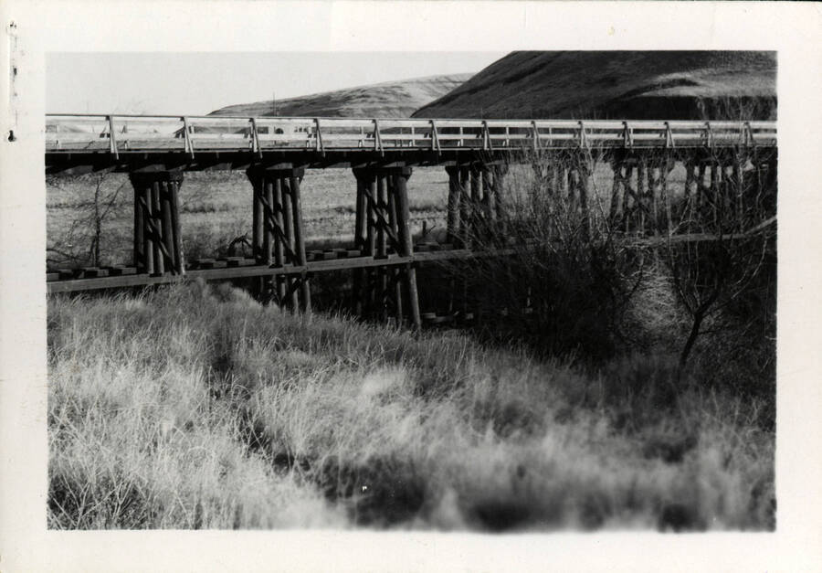 A photograph of the Riparie Bridge in Walla Walla. Rolling hills extend in the background.