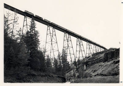 Lawyers Canyon Trestle between Craigmont and Ferdinand, Idaho.