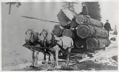 Horses hauling logs for the Craig Mountain Lumber Company.