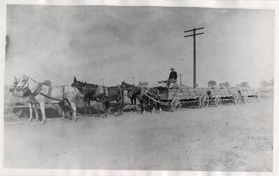 Wheat cart hauling wheat near Winchester