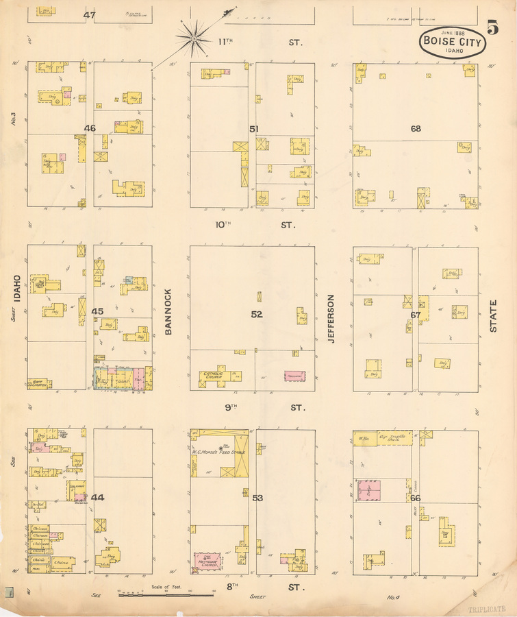 dwelling; cabin; baptist church; chinese; sewing machines and milly; meat; female boarding; shed; methodist church; catholic church; feed stable; parsonage; warehouse; agricultural implements shed;