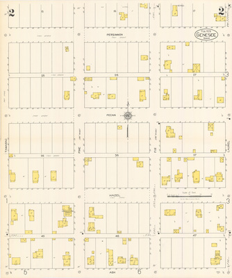 Sanborn Fire Insurance Map from Genesee
