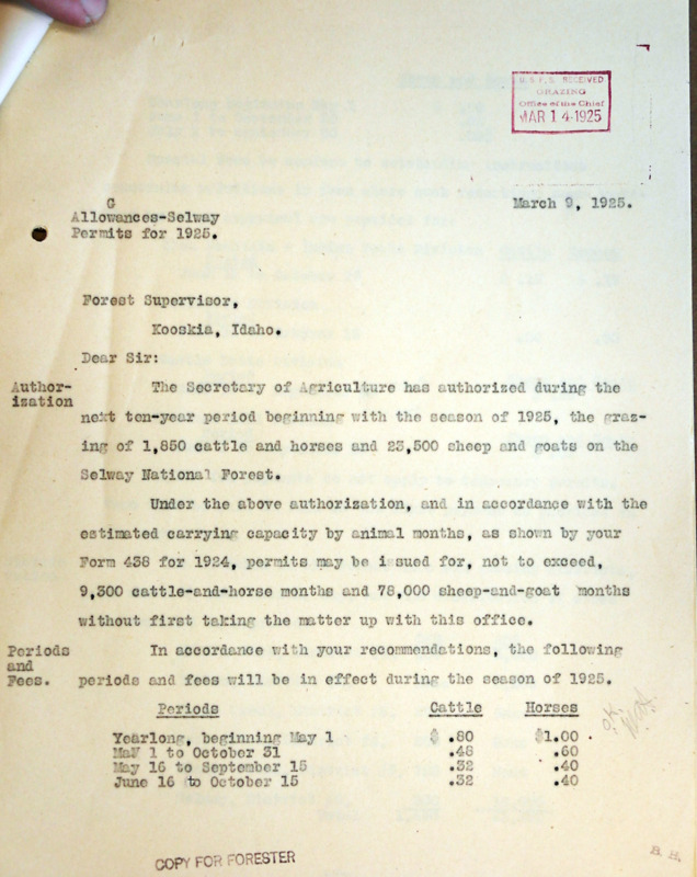 Grazing Document, March 9, 1925. Although merely a routine grazing report, this document is significant because it represents the earliest mention of the word 'wilderness' to refer to the Selway-Bitterroot area in any correspondence discovered to date.