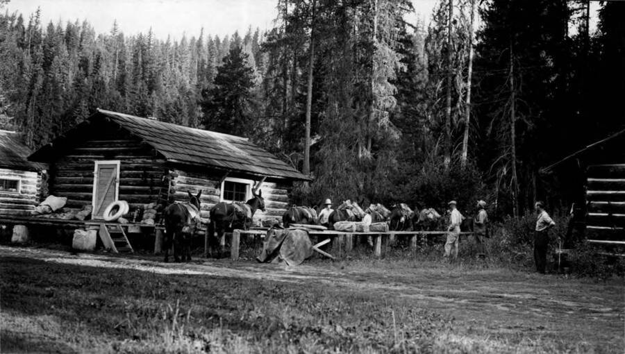 Powell Ranger Station, Loading Pack String, Photographer Unknown, 1936