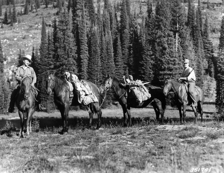 Two pack horses bringing in the carcass of a bull elk killed near Elk Summit,Selway-Bitterroot Primitive Area , Swan, K. D. , 1937