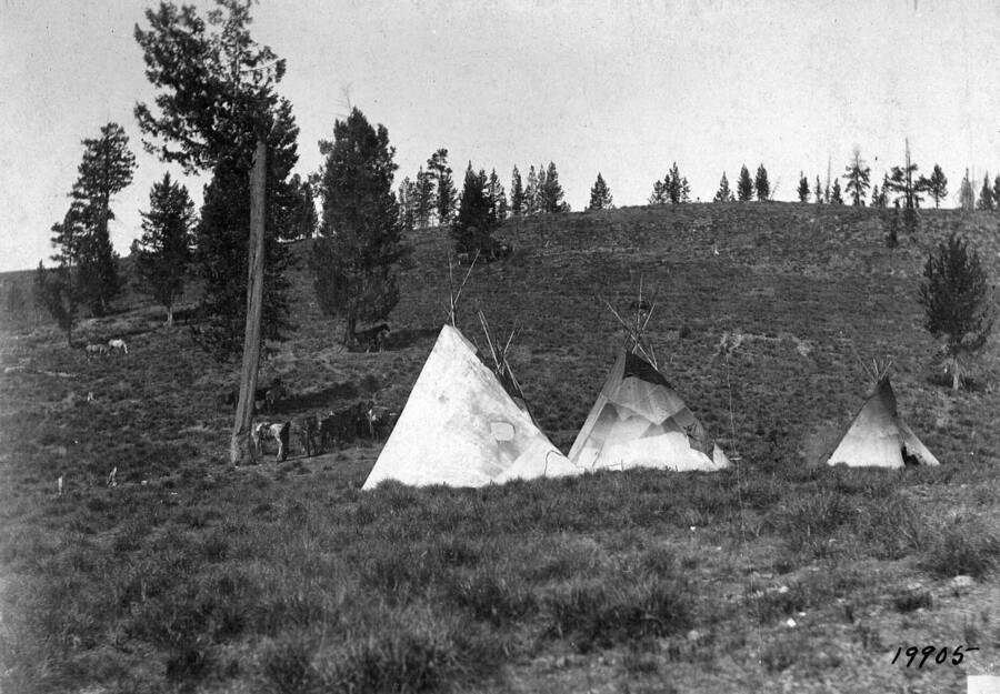 Indian camp at Nez Perce Pass , Leiberg, J. B., 1901
