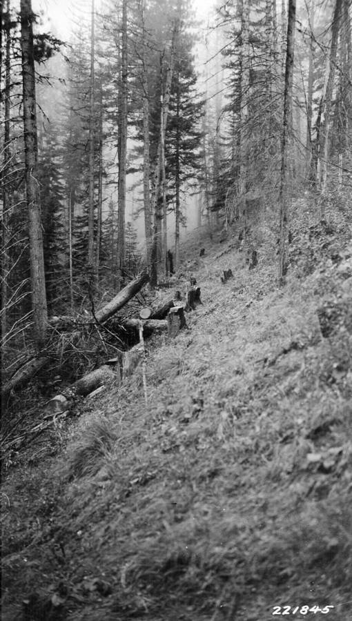 Indian Hill Trail, Selway National Forest, Flint, Howard, 1927-08-29