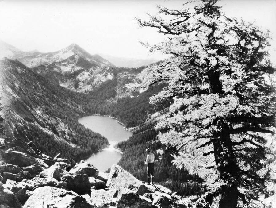 View of mountains on south side of Big Creek, Bitterroot National Forest, Swan, K. D. , 1923
