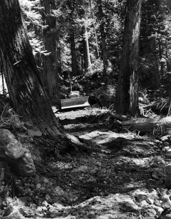 D2 Dozer being used in construction of Bear Creek trail, Selway National Forest, Moose Creek District, Blackerby, A. W. , 1957