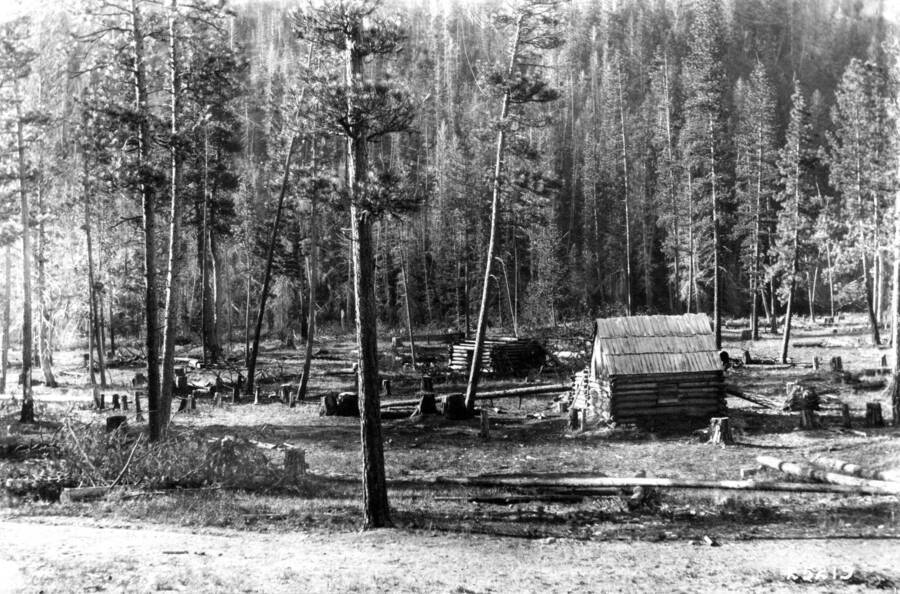 A squatter's claim without any cultivated ground on abandoned logging claim at the junction of South and Little West Fork of Bitterroot River, showing about 90 per cent of the merchantable timber removed from the claim, Selway National Forest, Idaho, Leiberg, J. B., 1905
