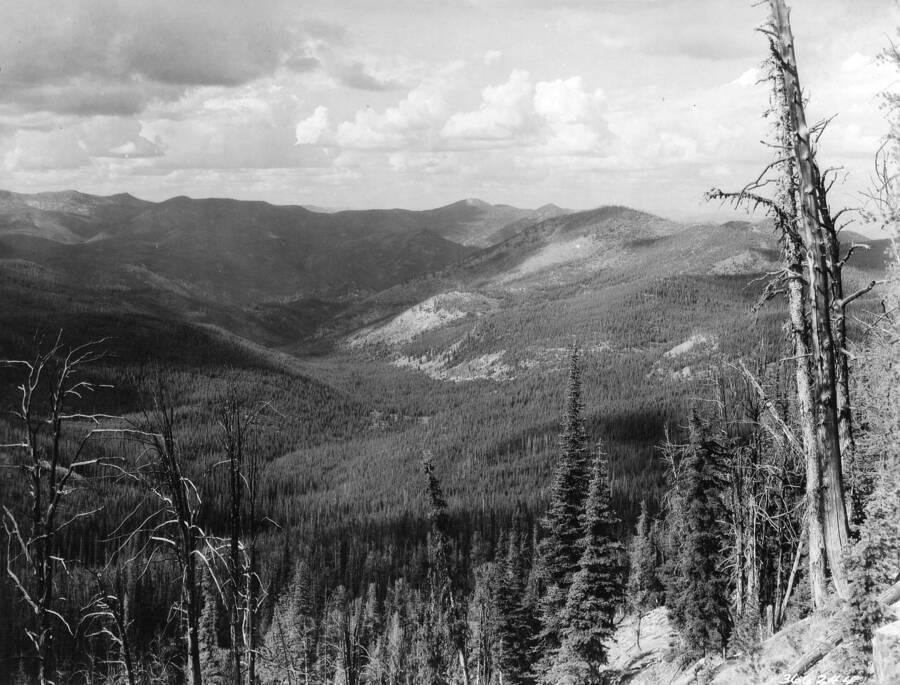 View into Flat Creek from the North Side of Salmon Mountain, Swan, K. D., 1938