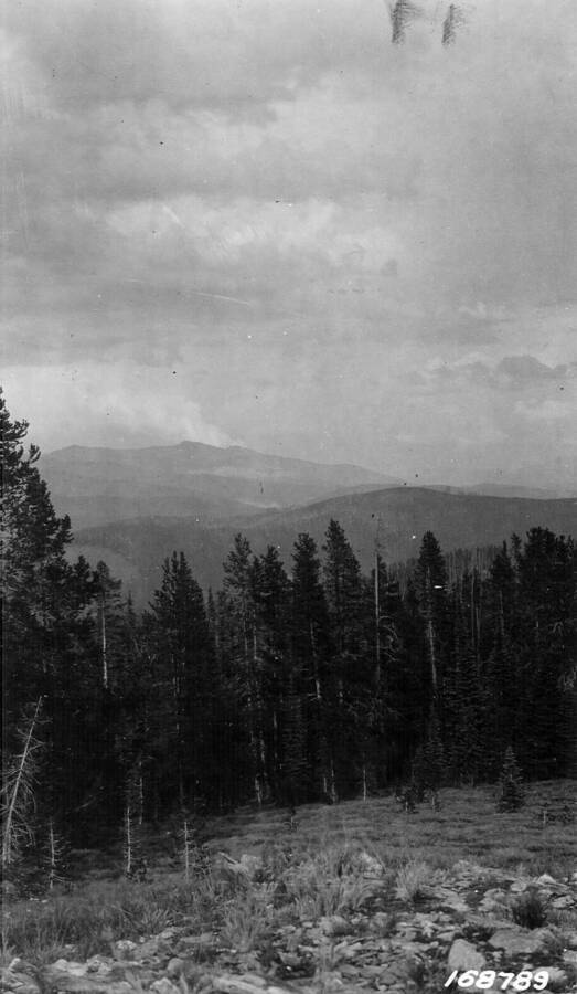 View Across Big Creek, Bitterroot National Forest, Shoemaker, Theodore, 1924