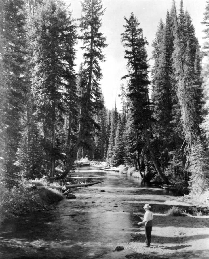 Fishing in Bargemon Creek, Nez Perce National Forest, Swan, K.D., 1938-08-01