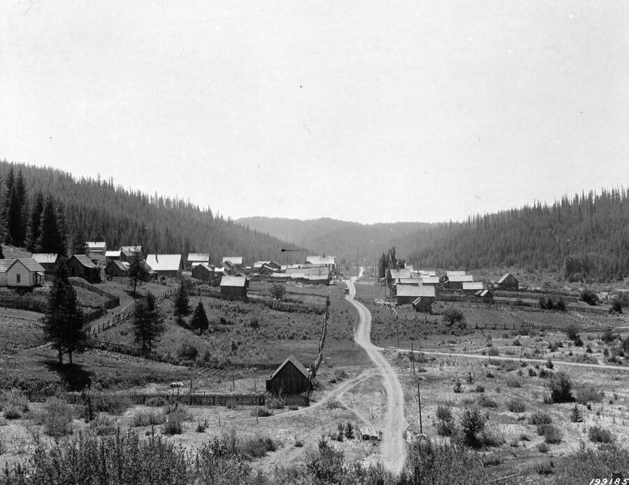 Lands-Towns & Cities, Pierce City, Id Looking North, Swan, K. D., 1925