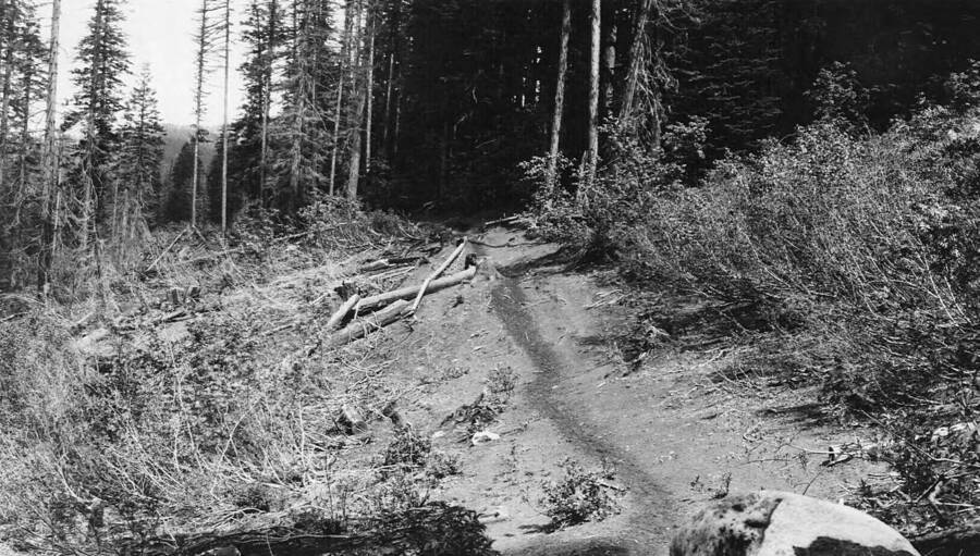 Engineering-Trails, Lolo Trail, Photographer Unknown, 1921
