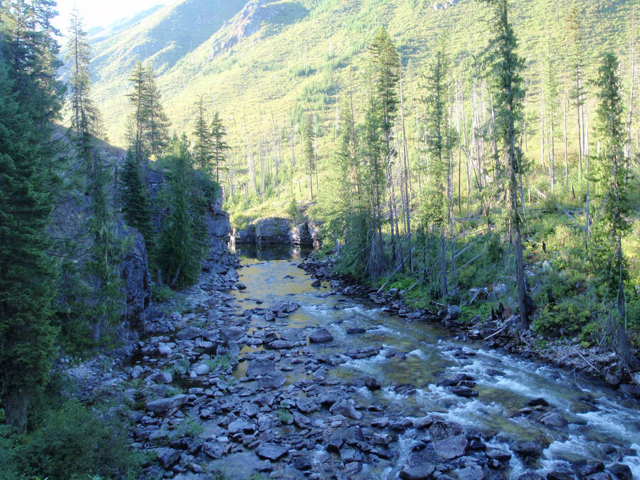 Salmon Hole on Bear Creek, view to the east