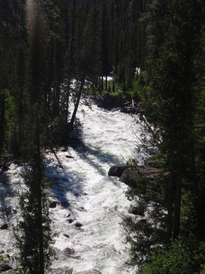 Bear creek at high water