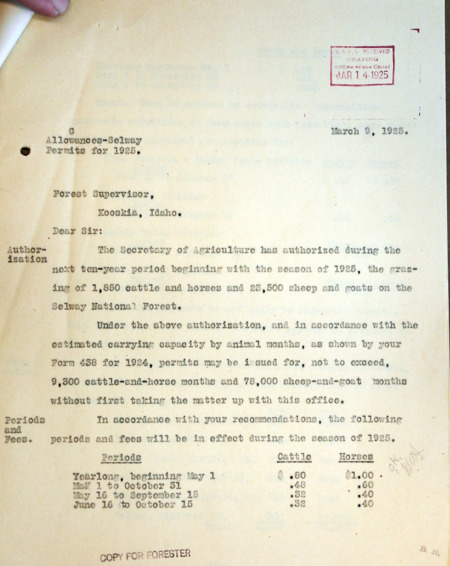 Annual Grazing Report, Allowances - Selway Permits for 1925