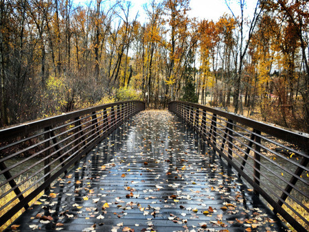 Bridge at Travelers' Rest, Lolo, Montana. Photo courtesy Debbie Lee