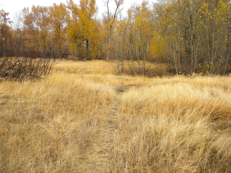 Lewis and Clark campsite at Travelers' Rest, location based on archaeological evidence. Photo courtesy Debbie Lee