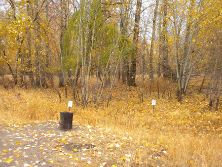 Location of latrine from the Lewis and Clark campsite at Travelers' Rest. The latrine allowed archaeologists to pinpoint the camp site due to trace amounts of mercury in the soil, after the Corpsmen took a cure-all pill containing mercury.