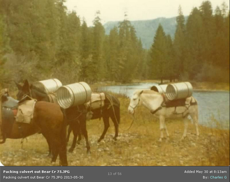 Packing culvert out of Bear Creek. 1975