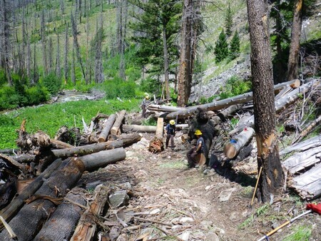 Selway-Bitterroot Foundation clearing a trail to improve access inside the wilderness area.