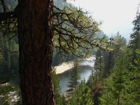 View of the Selway River. Photo courtesy Flickr under Creative Commons license.