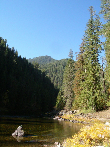 Photo courtesy Flickr under Creative Commons license.