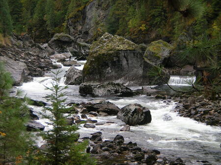 Rapids on the Selway River. Photo courtesy Flickr under Creative Commons license.