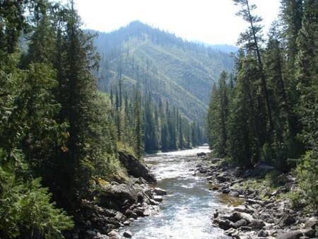 The Selway river near Moose Creek