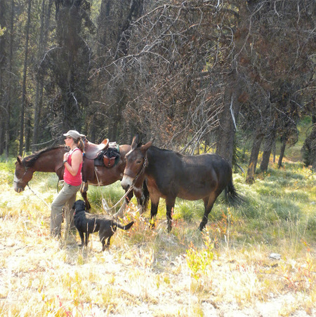 Anna Bengtson with stock.