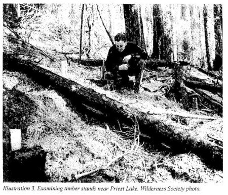 Bob Marshall Examining Timber stands near Priest Lake. Wilderness Society Photo.
