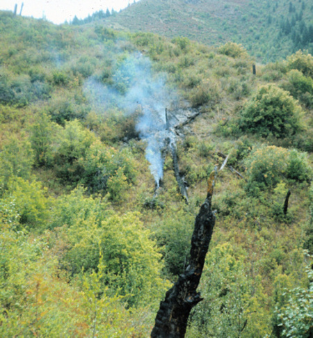1st Prescribed Naturally-occurring Fire on Bad Luck Creek 8-19-72. Photo by Bob Mutch