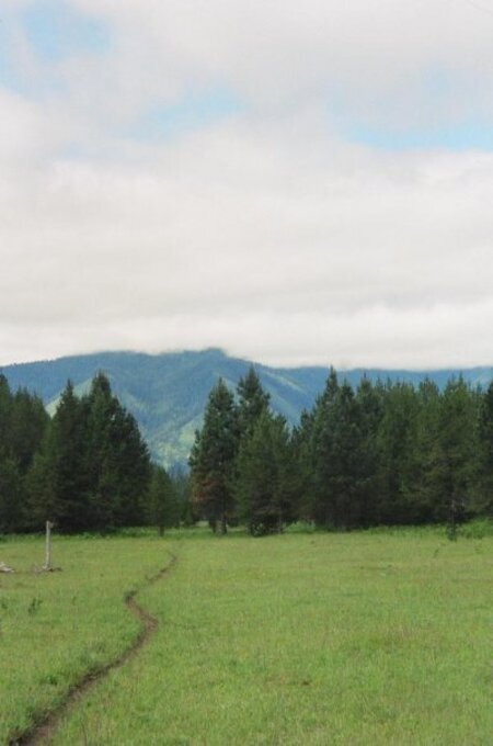 Looking from East Moose toward Grizzly Saddle.  Photo courtesy Josh Dolezal
