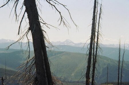 Looking from Lost Horse toward El Capitan.  Photo courtesy Josh Dolezal