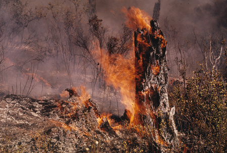 Fitz Creek Fire In Bad Luck, 9-12-73