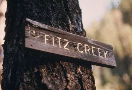 Fitz sign on scorched tree