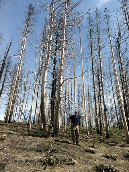 After the Saddle Fire, Western Montana, 2011. Photo courtesy Bob Mutch