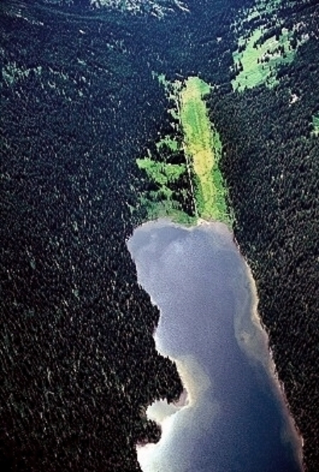 Photo Courtesy of Jim Wark