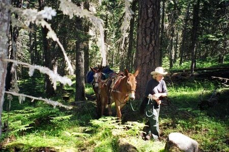 Connie Saylor, photo courtesy Josh Dolezal